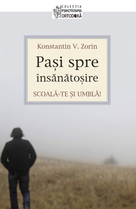 Scoala-te si umbla: pasi spre insanatosire - Konstantin V. Zorin