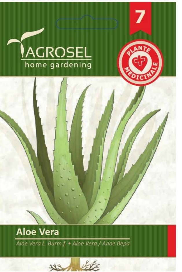 Seminte Aloe vera, 8 seminte, Agrosel