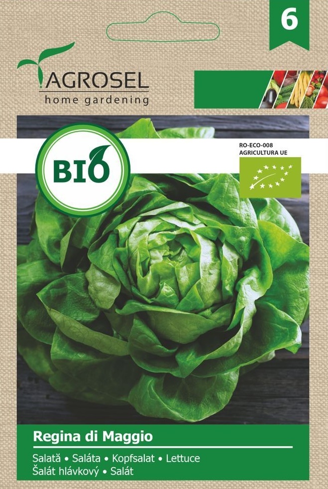 Seminte BIO Salata Regina di Maggio, 2.5 g, Agrosel