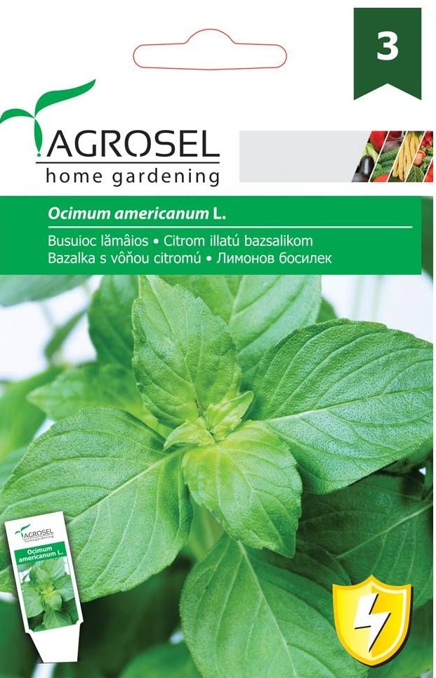 Seminte Busuioc Lamaios, 1 g, Agrosel