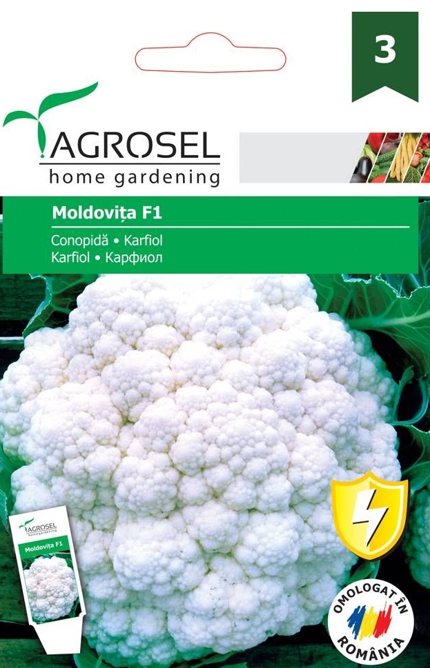 Seminte Conopida Moldovita F1, 100 seminte, Agrosel