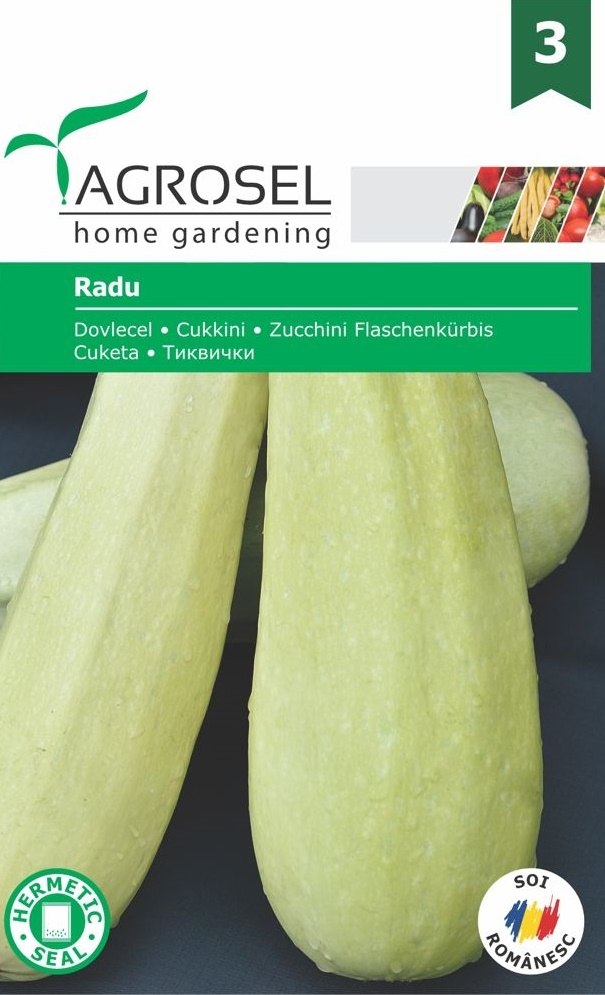 Seminte Dovlecel Radu, 4 g, Agrosel