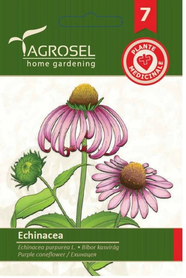 Seminte Echinacea, 2 g, Agrosel