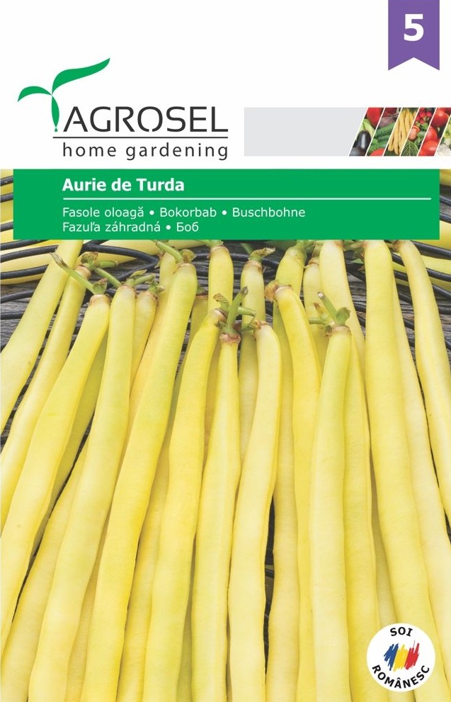 Seminte Fasole Aurie de Turda, 25 g, Agrosel
