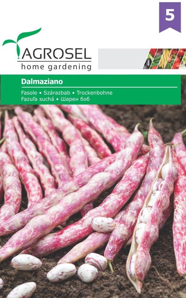 Seminte Fasole Dalmaziano, 45 g, Agrosel