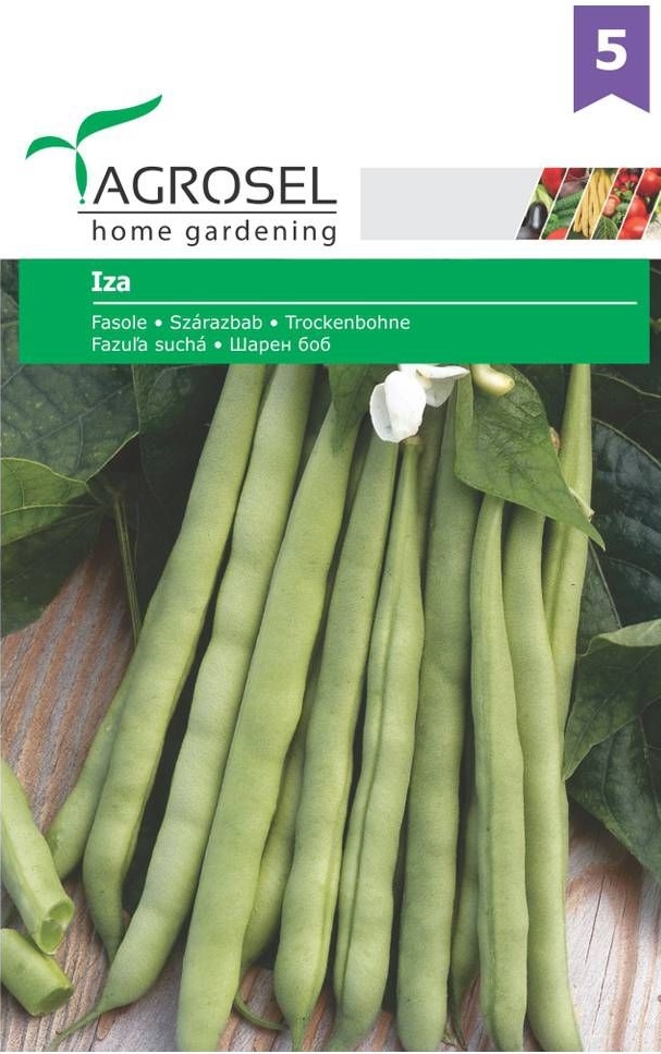 Seminte Fasole boabe Iza, 25 g, Agrosel