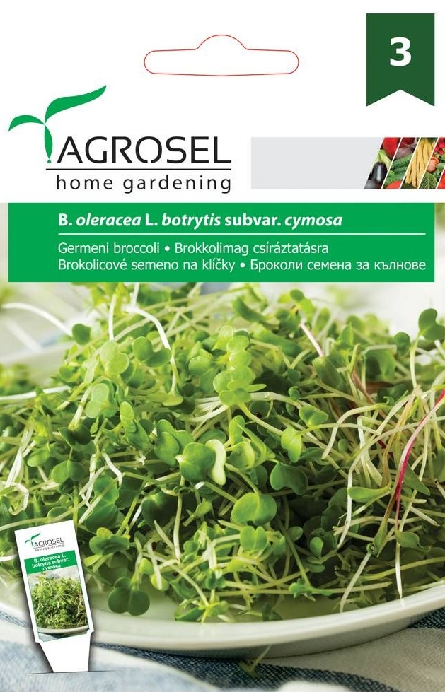 Seminte Germeni Broccoli, 5 g, Agrosel