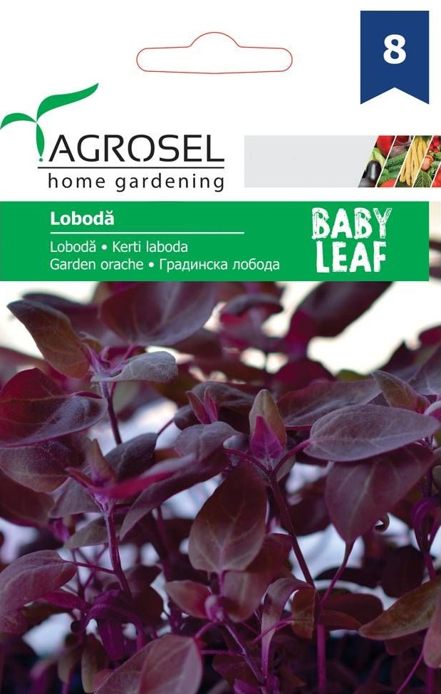 Seminte Loboda rosie, baby leaf, 2,g, Agrosel