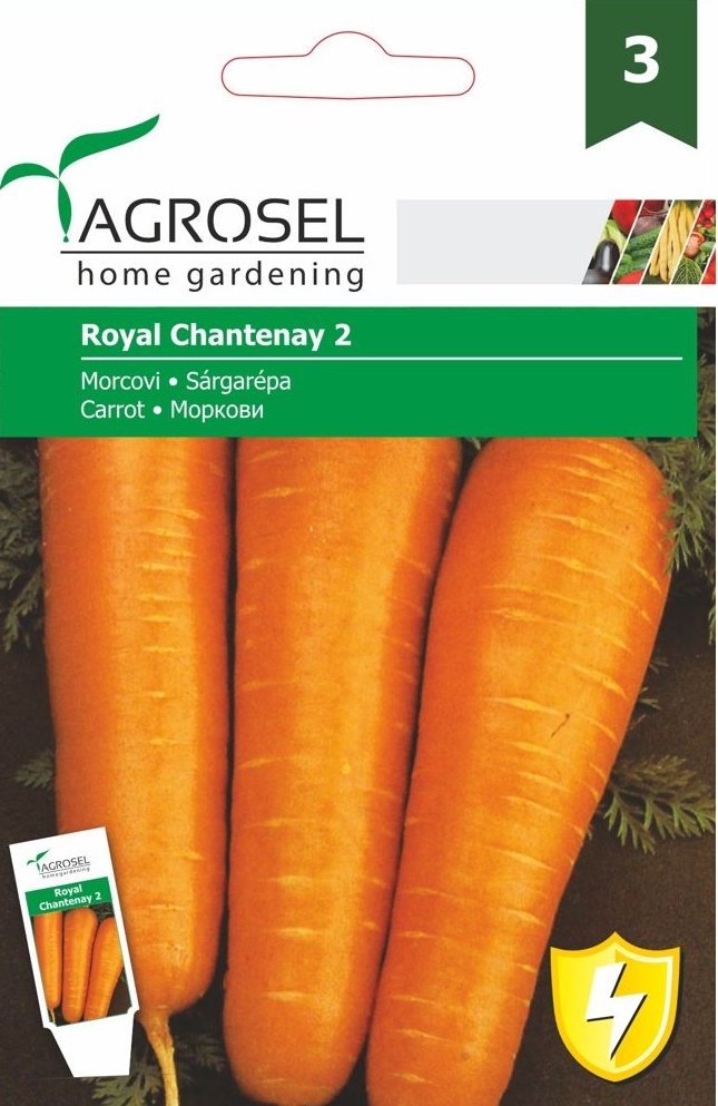 Seminte Morcovi Chantenay Red Cored2, 5 g, Agrosel