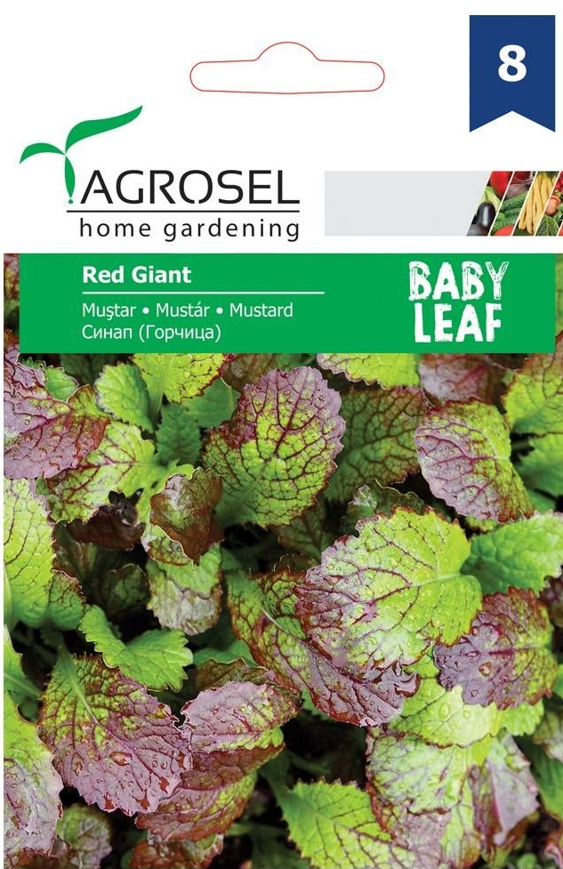Seminte Mustar, baby leaf, 3 g, Agrosel