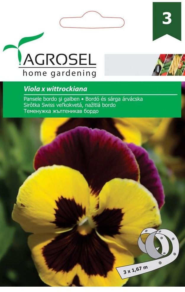 Seminte Pansele bordo si galben, banda, Agrosel