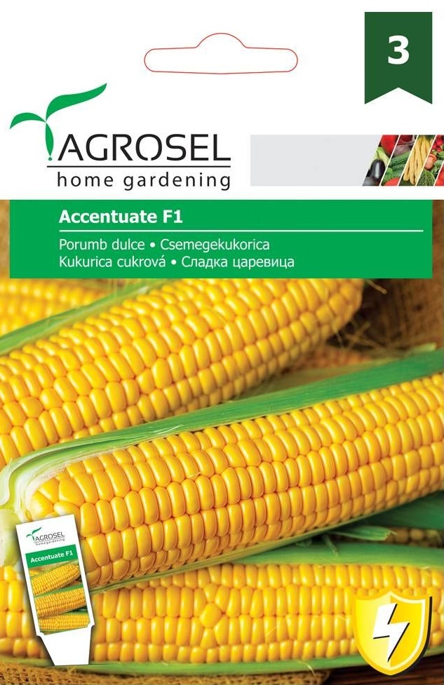 Seminte Porumb zaharat Accentuate F1, 40 seminte, Agrosel