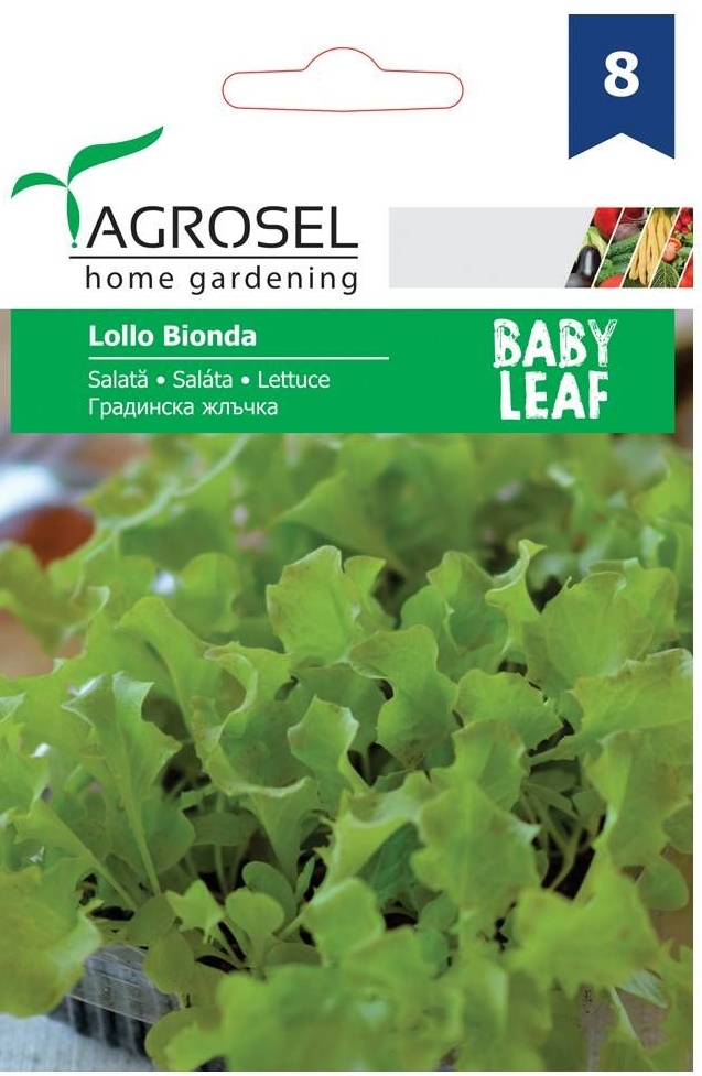 Seminte Salata creata alba Lollo Bionda baby leaf, 5 g, Agrosel