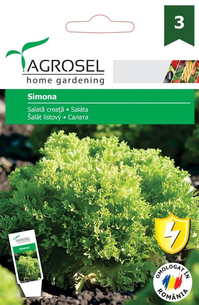 Seminte Salata creata alba Simona, 3 g, Agrosel