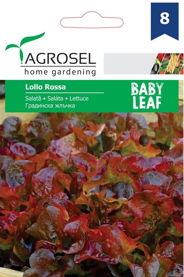 Seminte Salata creata rosie Lollo Rossa, baby leaf, 5 g, Agrosel