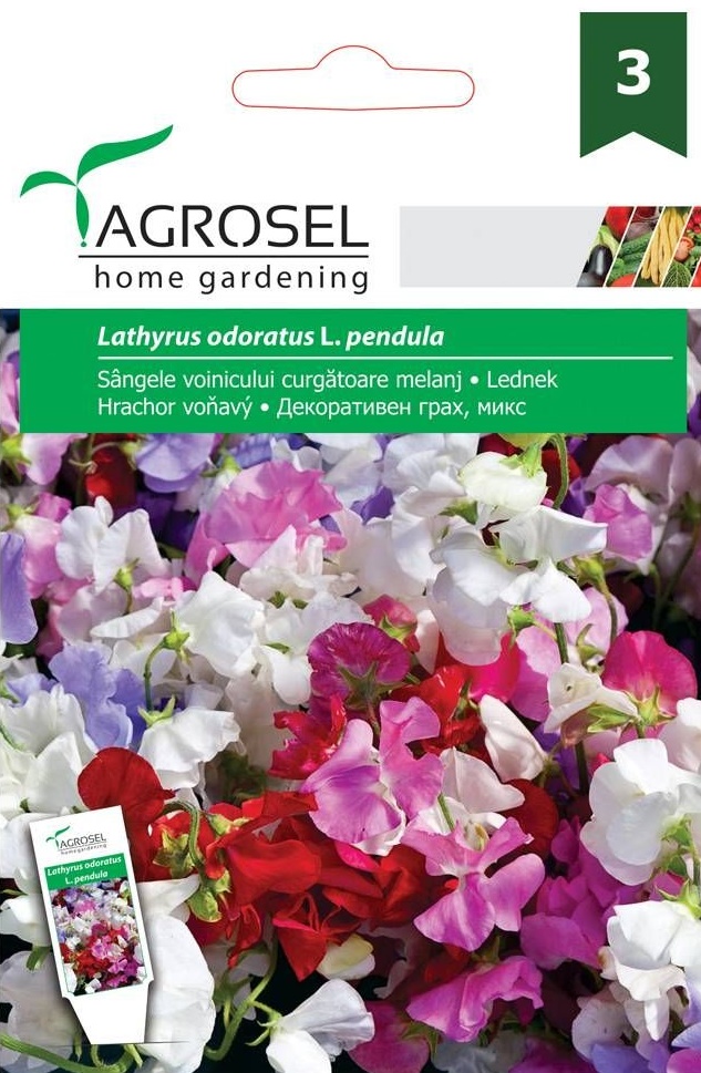 Seminte Sangele voinicului curgatoare melanj, 3 g, Agrosel