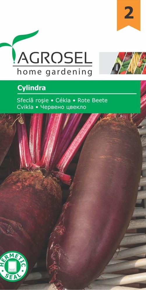 Seminte Sfecla rosie Cylindra, 4 g, Agrosel