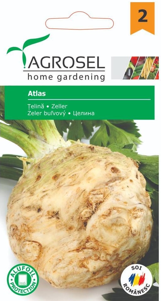 Seminte Telina de radacina Atlas, 1 g, Agrosel