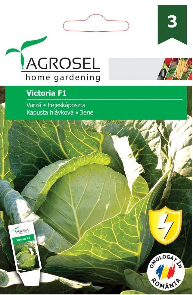 Seminte Varza Victoria F1, 80 seminte, Agrosel
