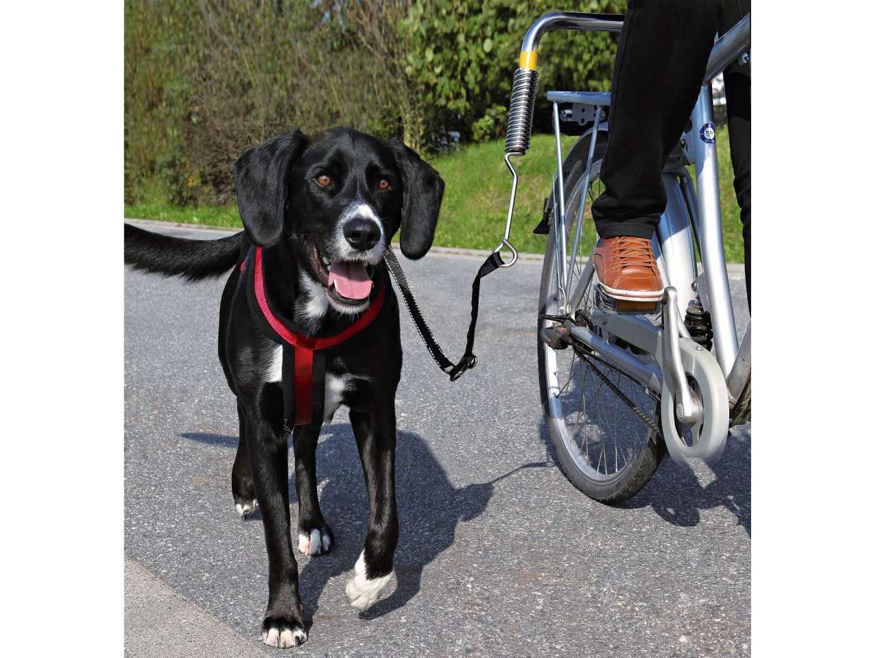 Trixie Set de Bicicleta pentru Caini 1287