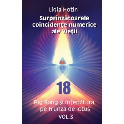 Surprinzatoarele coincidente numerice ale vietii volumul 3 - Ligia Hotin