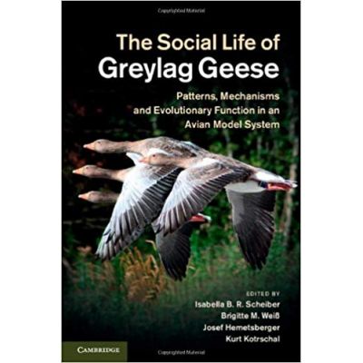 The Social Life of Greylag Geese: Patterns, Mechanisms and Evolutionary Function in an Avian Model System - Isabella B. R. Scheiber, Brigitte M. Weib, Josef Hemetsberger, Kurt Kotrschal