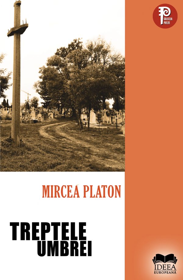 Treptele umbrei - Mircea Platon