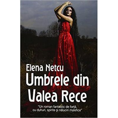 Umbrele din Valea Rece - Elena Netcu