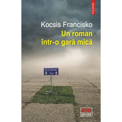 Un roman intr-o gara mica - Kocsis Francisko