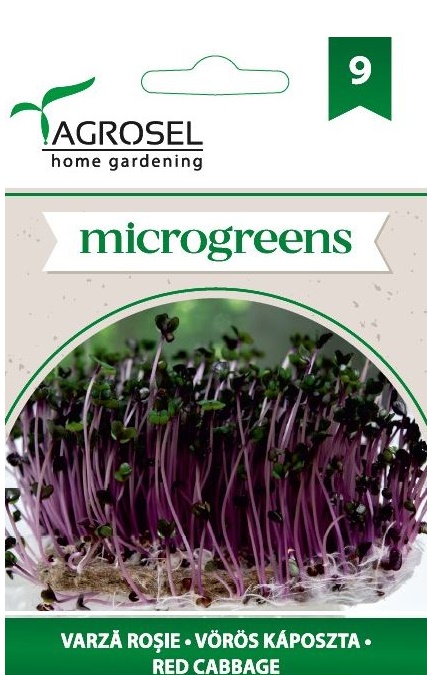 Seminte Varza rosie microgreens, 8 g, Agrosel