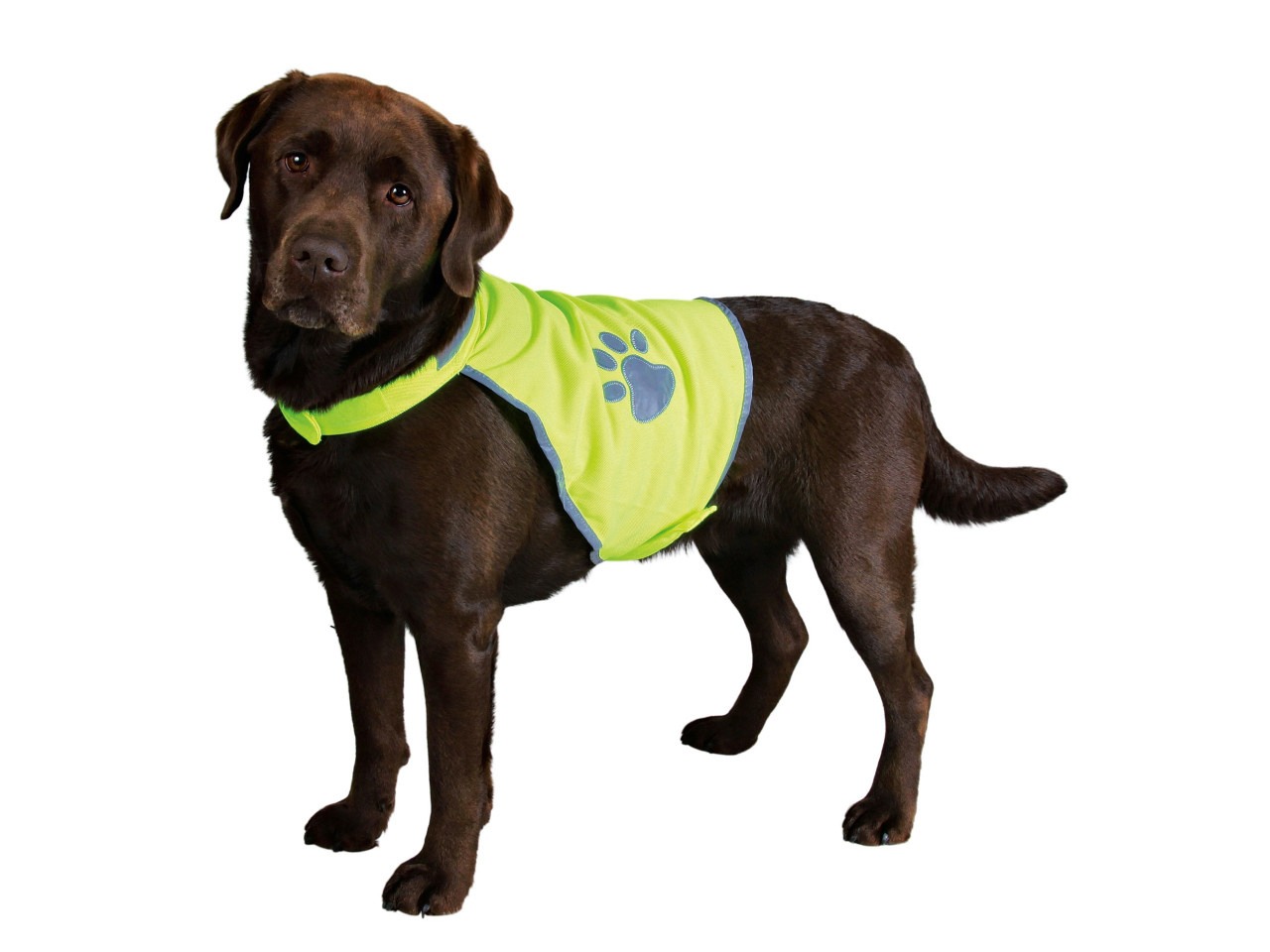 Trixie Vesta De Siguranta, XL: 47 cm, 50-73 cm/72-95 cm, Galben Neon, 30084