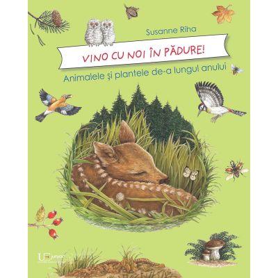 Vino cu noi prin padure! Animalele si plantele de-a lungul anului - Susanne Riha