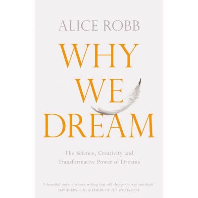 Why We Dream - Alice Robb