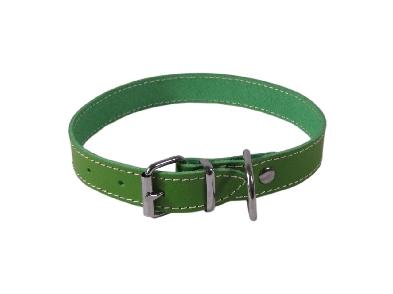Exotic-K Zgarda L3 2.5/53 cm Simplu Verde