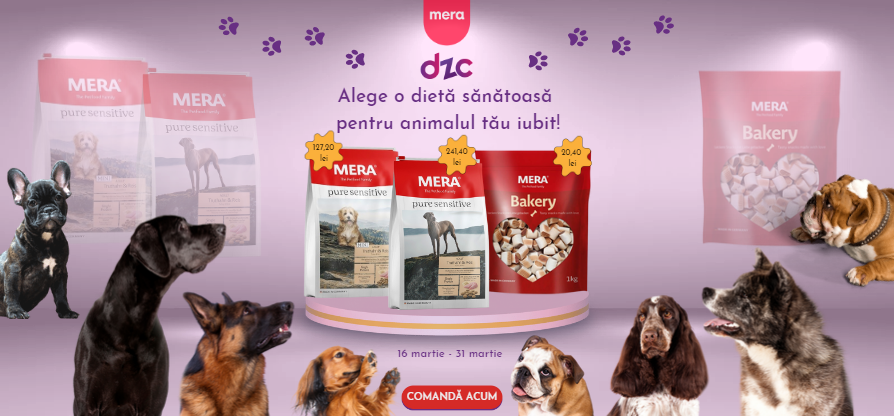 Alege o dieta sanatoasa pentru animalul tau iubit