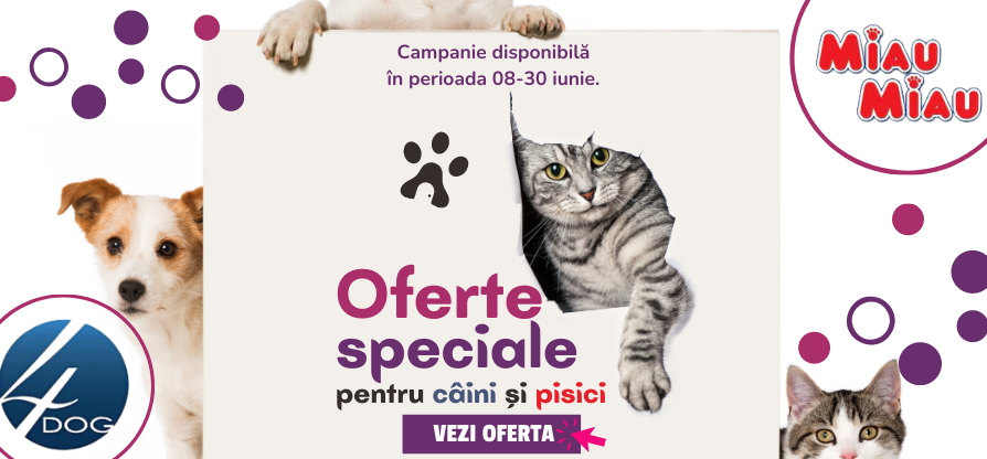 Oferte speciale pentru caini si pisici